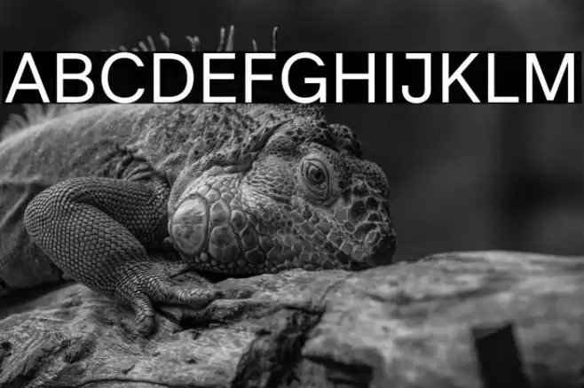 Literal-Regular Font examples