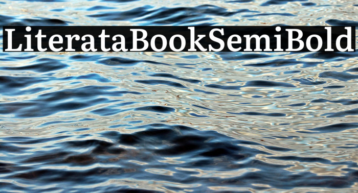 Literata Book SemiBold Example 2