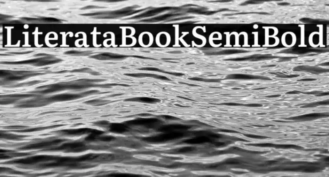 Literata Book SemiBold Example 2