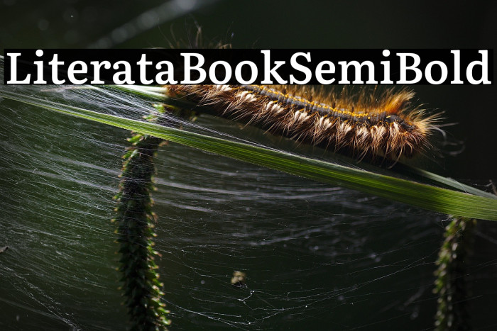 Literata Book SemiBold Example 3