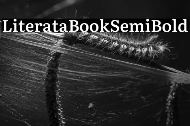 Literata Book SemiBold Example 3
