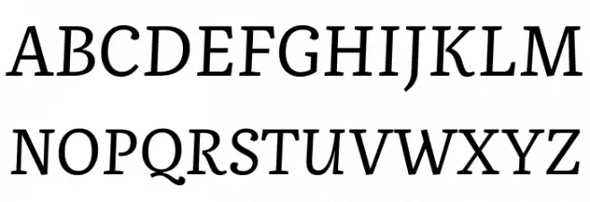 Literata Italic フォント 大文字