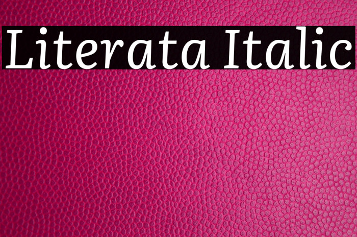 Literata Italic Font examples