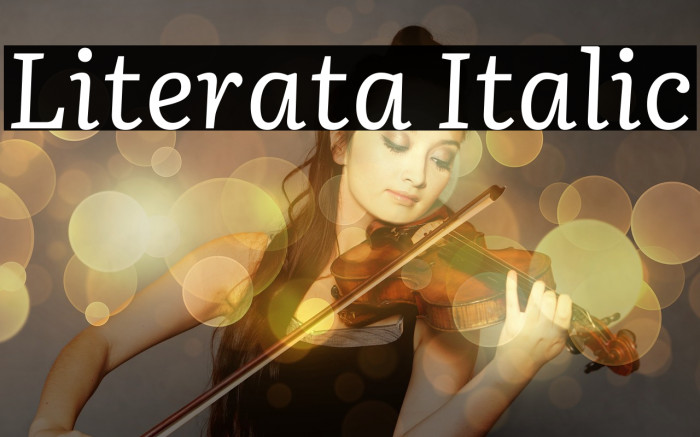 Literata Italic Font examples