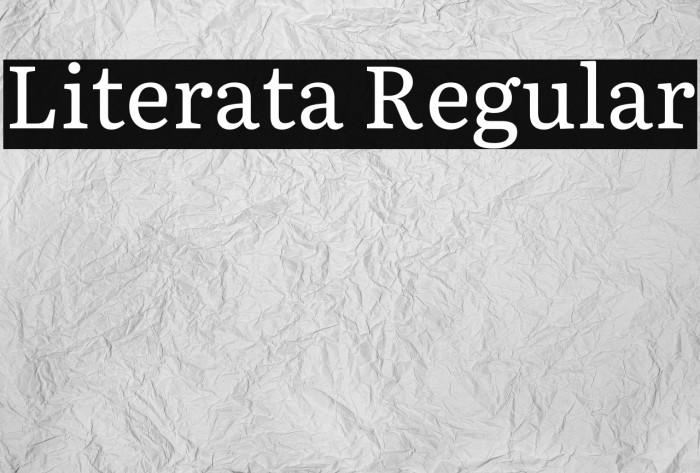 Literata Regular Font examples