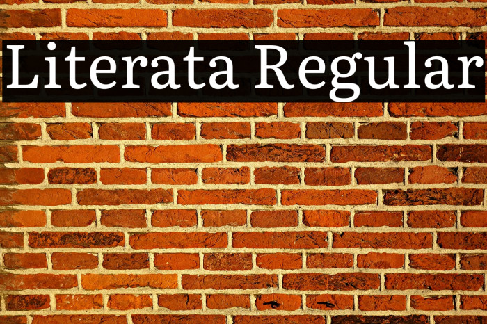 Literata Regular Font examples