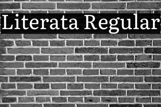 Literata Regular Example 2