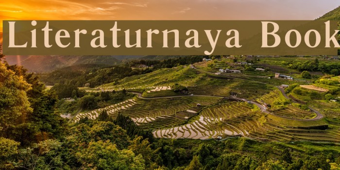 Literaturnaya Book Font examples