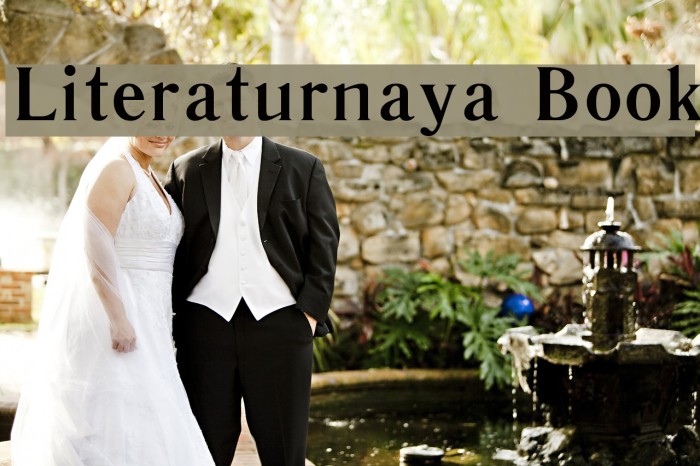 Literaturnaya Book Font examples