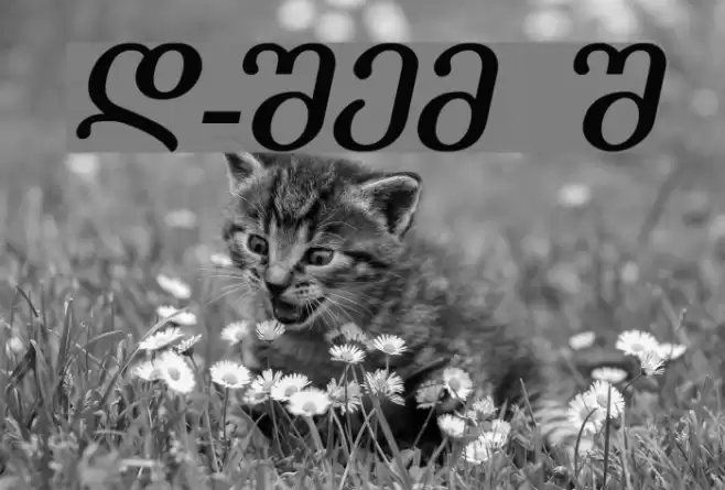 Literaturuly-ITV Italic Font examples