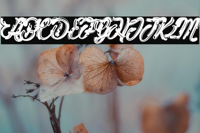 Lithium Hill_PersonalUseOnly Example 2