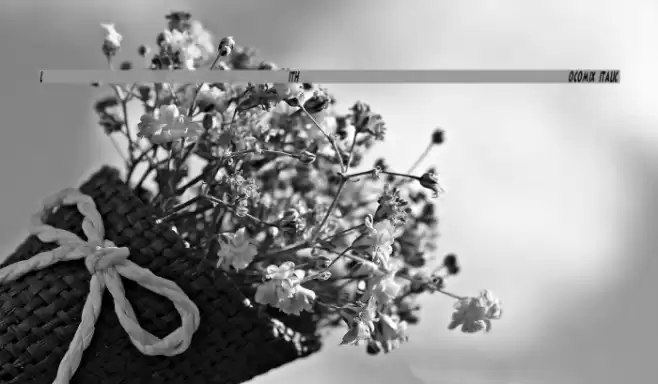 LithoComix Italic Font examples