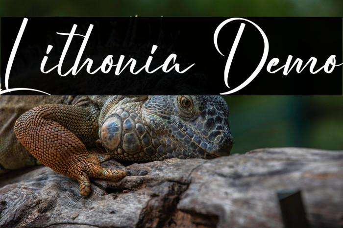 Lithonia Demo Example 3