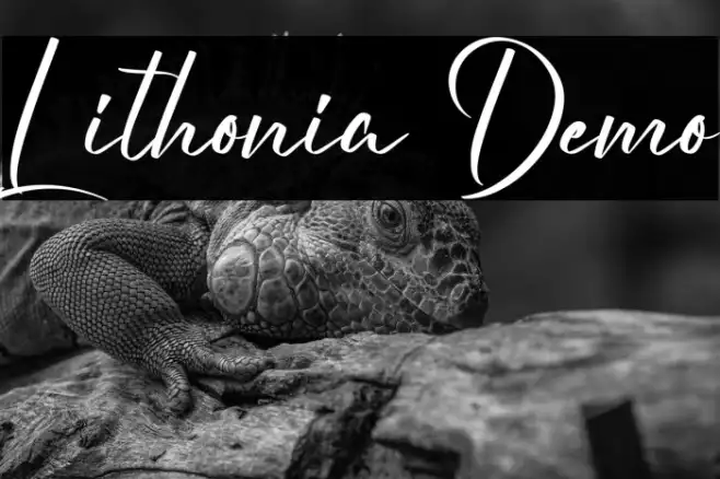 Lithonia Demo Example 3