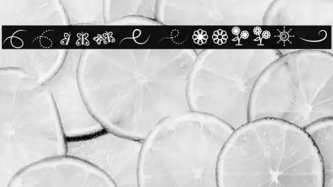 Lithunoa Dingbats Font examples