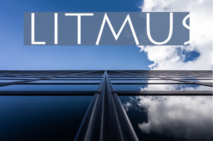 Litmus Font examples