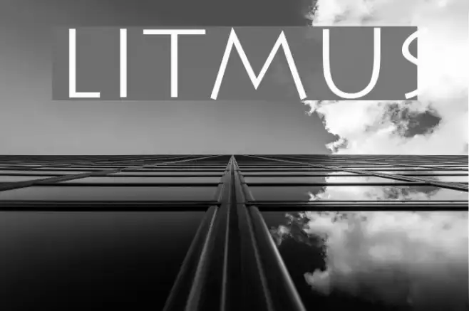 Litmus Example 1