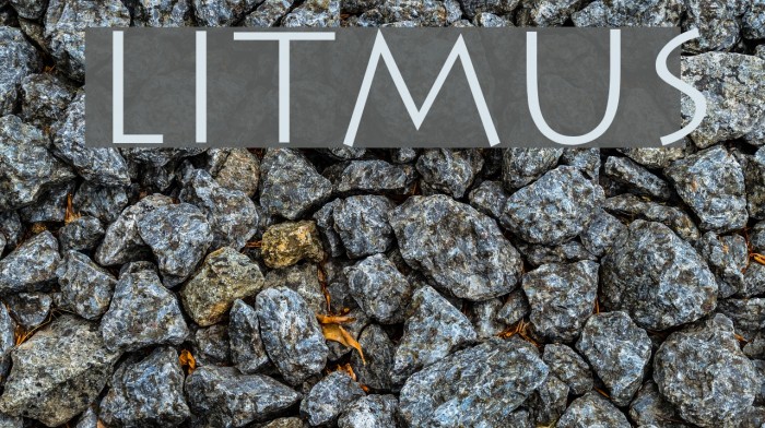 Litmus Font examples