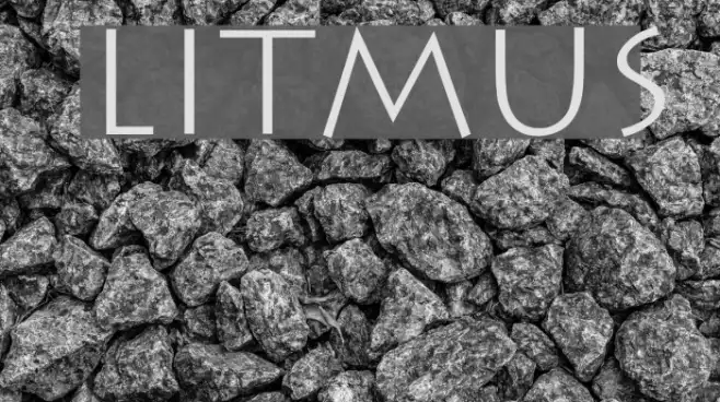 Litmus Example 2