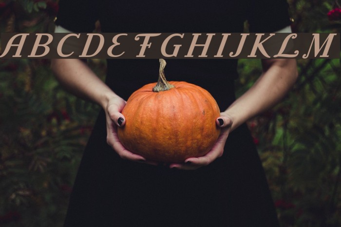 Litoland Title Italic Example 2