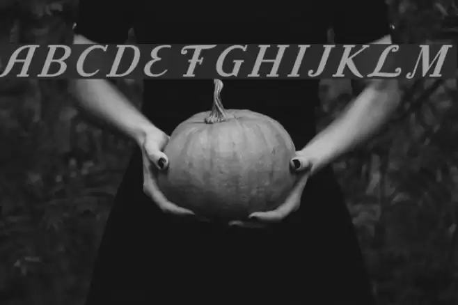 Litoland Title Italic Font examples