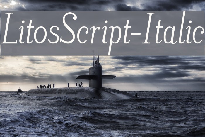 LitosScript-Italic Font examples