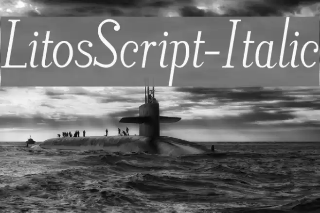 LitosScript-Italic Font examples