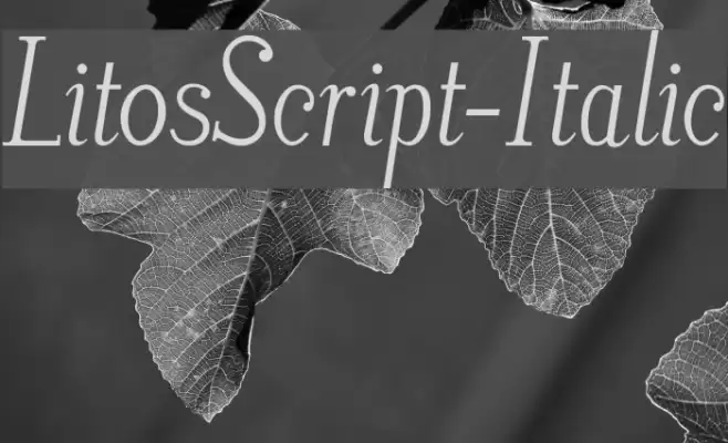 LitosScript-Italic Font examples