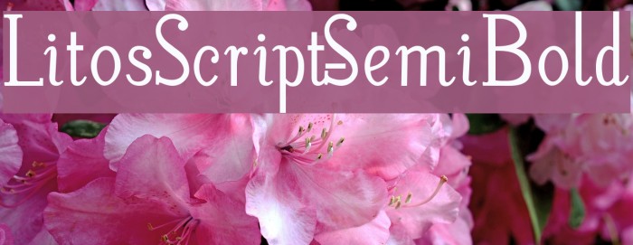 LitosScript-SemiBold Шрифта examples