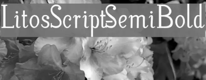 LitosScript-SemiBold Шрифта examples