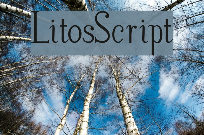 LitosScript Font examples