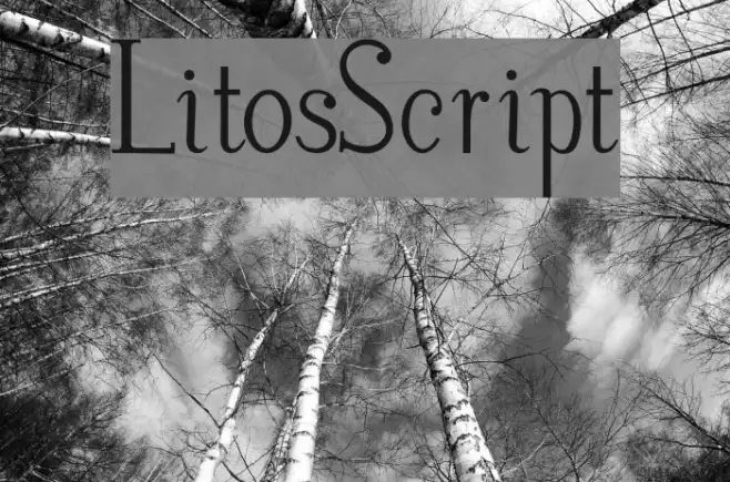 LitosScript Example 1
