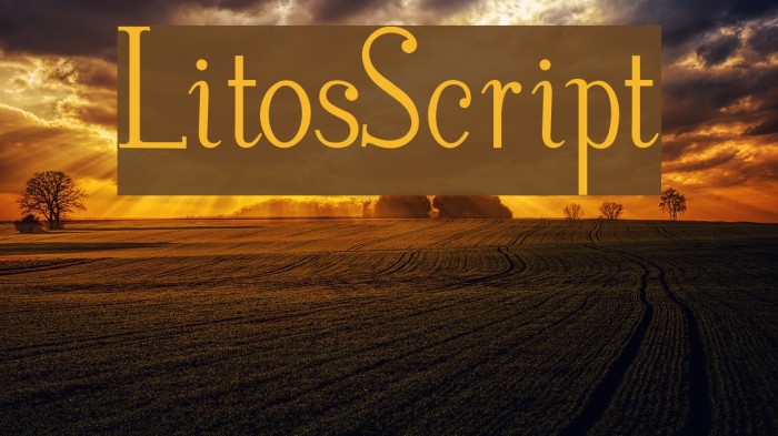 LitosScript Font examples