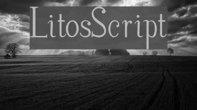 LitosScript Example 3