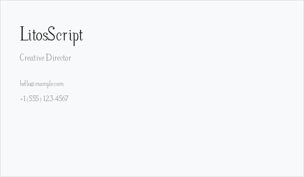 LitosScript Business Card
