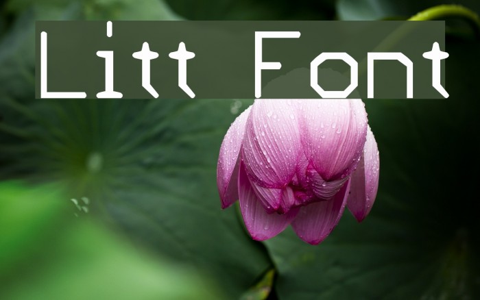 Litt Font examples