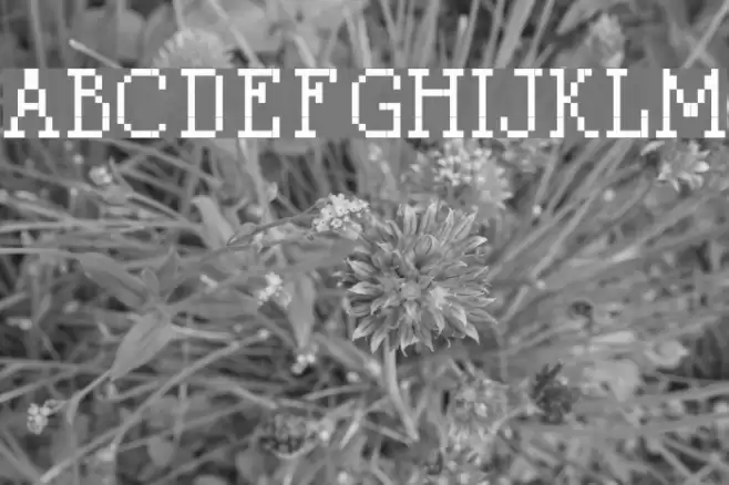 LitterLover Font examples