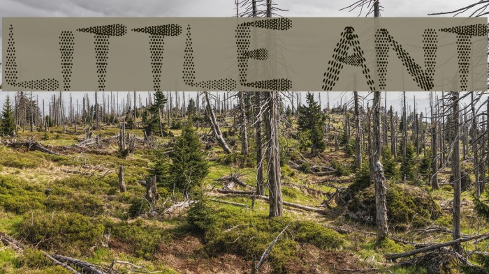Little Ant Font examples