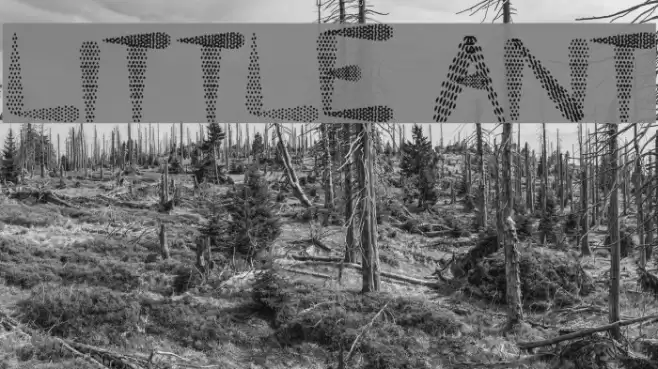 Little Ant Font examples