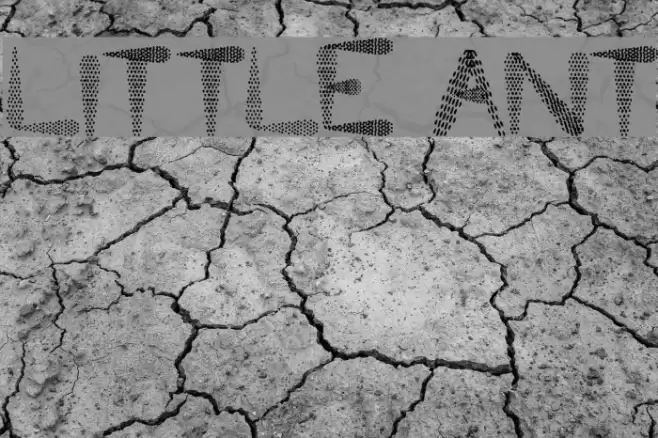 Little Ant Font examples