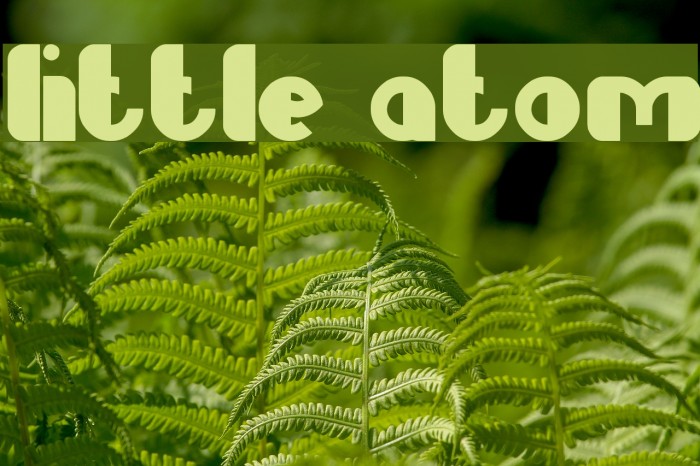 Little Atom Font examples
