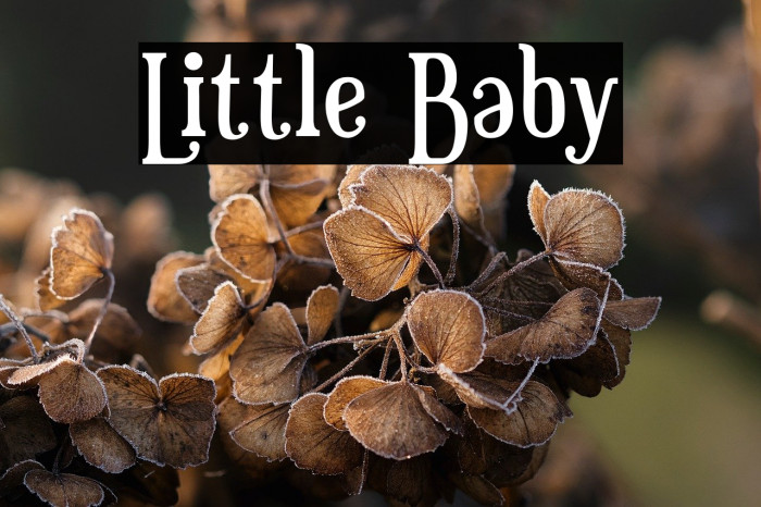 Little Baby Example 1