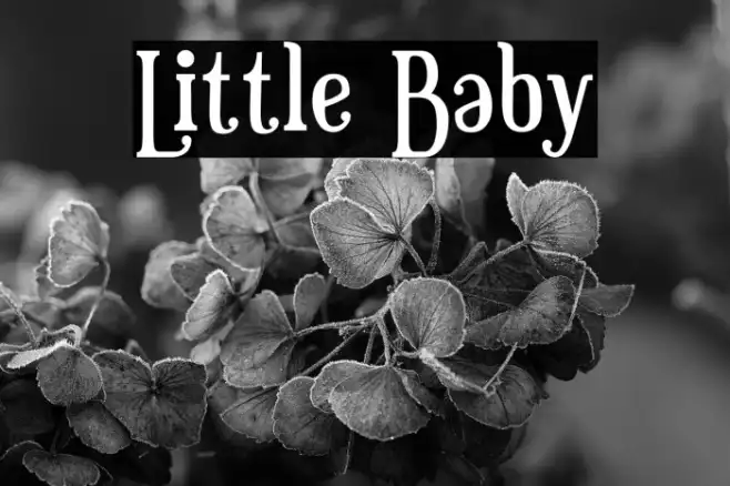 Little Baby Example 1