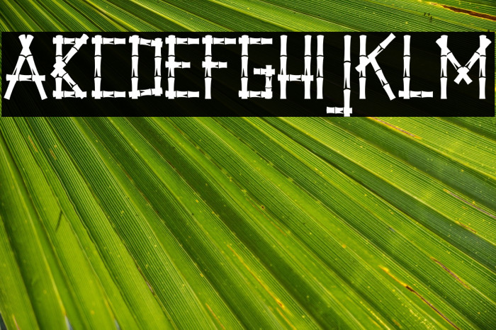 Little Bamboo Example 2