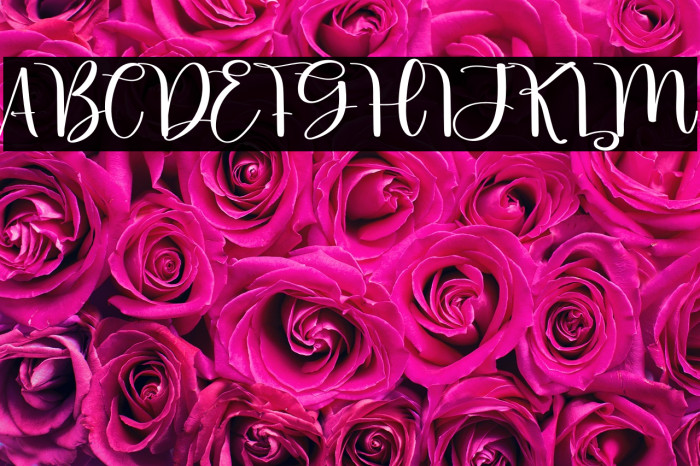 Little Beach Example 1