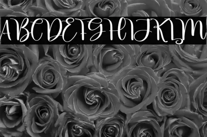 Little Beach 字体 examples