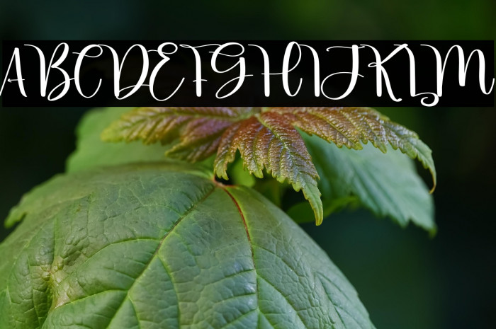 Little Beach Example 2