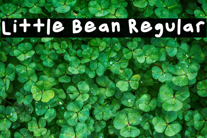 Little Bean Regular خط examples