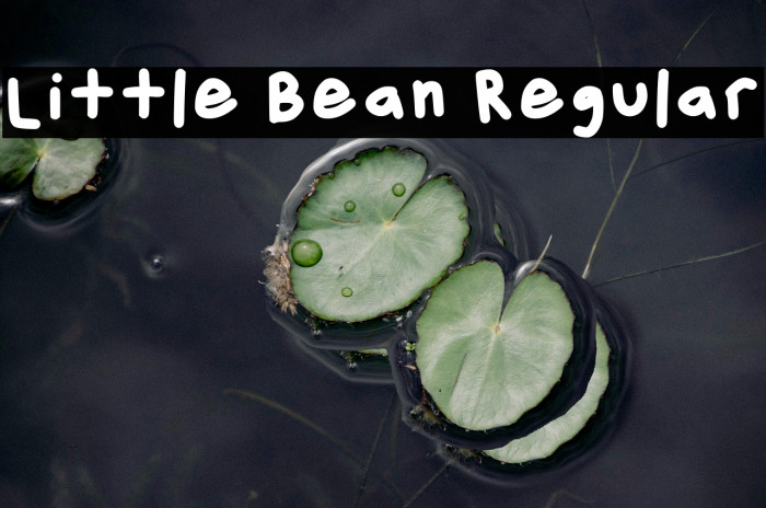 Little Bean Regular خط examples
