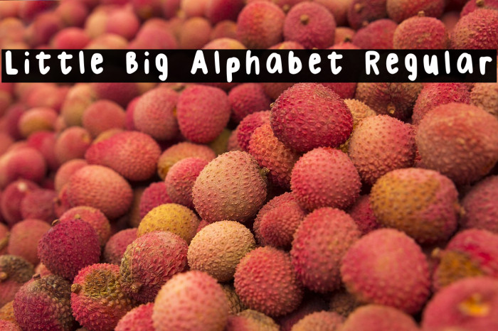 Little Big Alphabet Regular Example 1